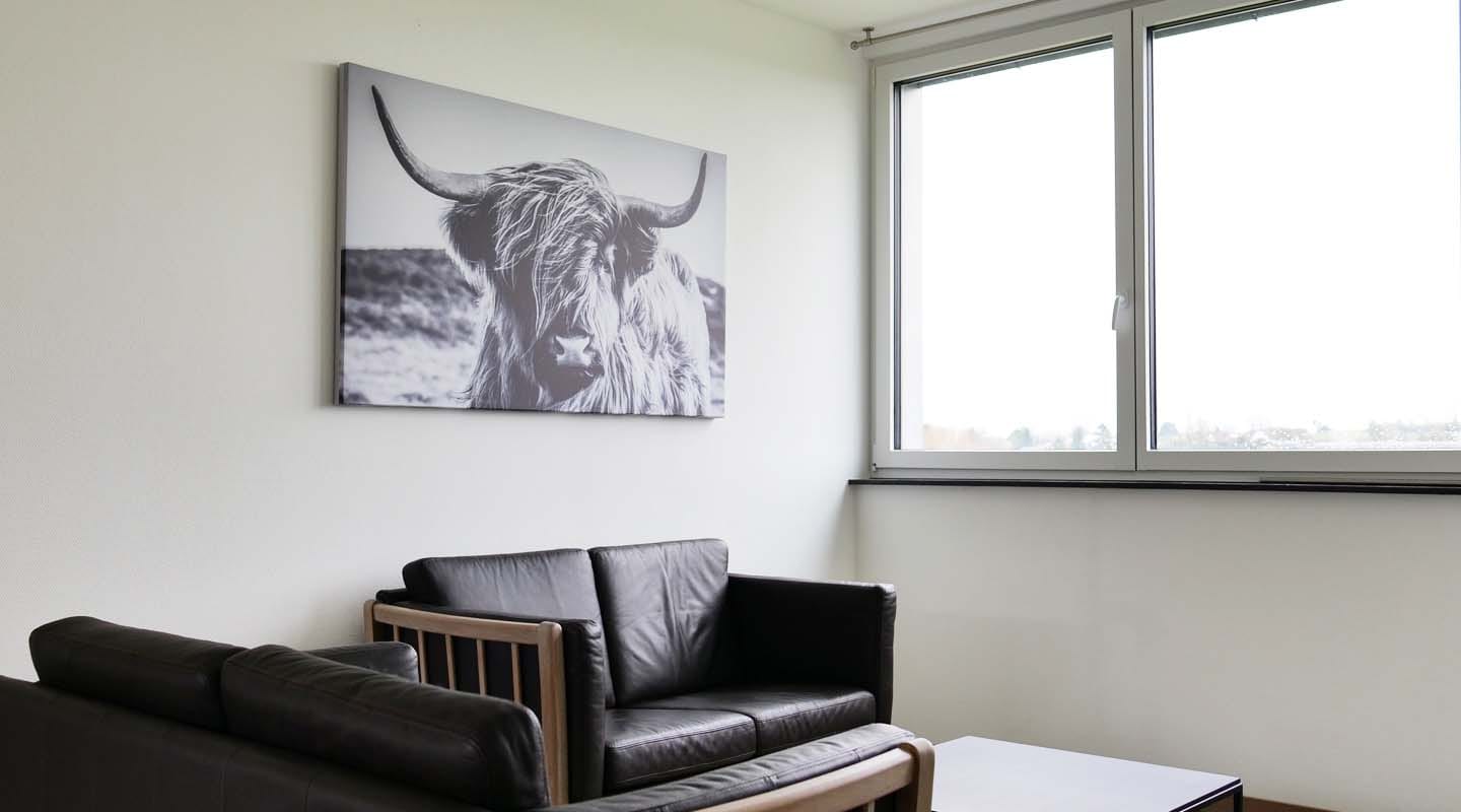 appartment-1